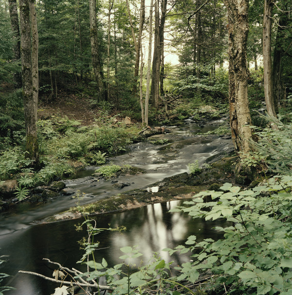 Summer Stream, Silent Lake by Hugh Martin