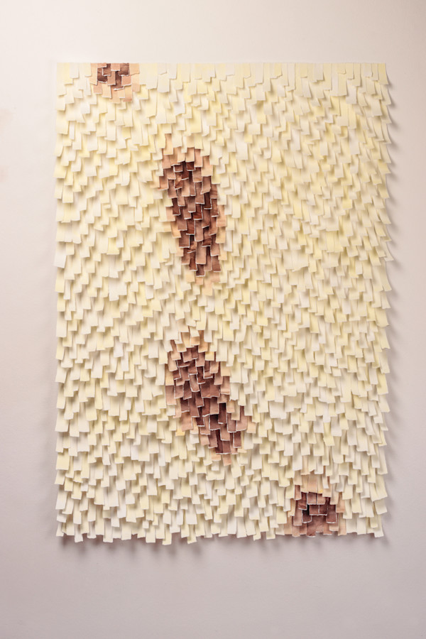 Traipse by Karla Nixon, Image 5.
