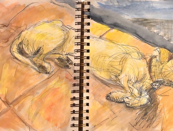 Biscuit in the Studio by Lois Keller