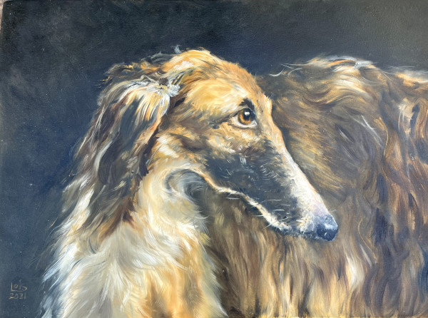 Afghan Hound by Lois Keller