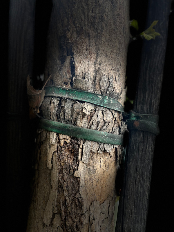 The Stakes We Leave Behind by Lois Keller