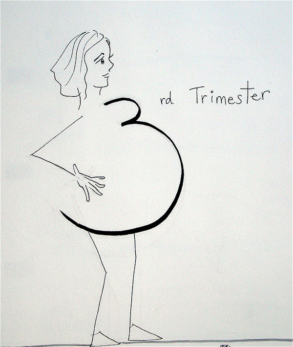 40 weeks Illustrated Pregnancy Journal by Lois Keller, Image 16.