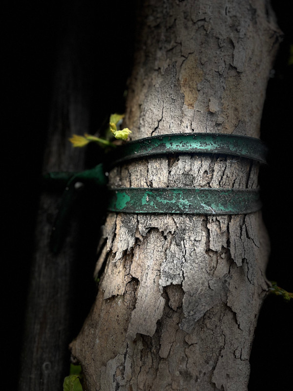 The Stakes We leave Behind on the Streets of Los Angeles by Lois Keller