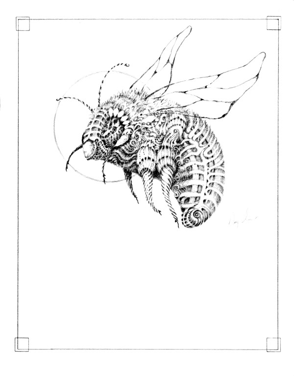 Bee 1 by Doug Sandelin