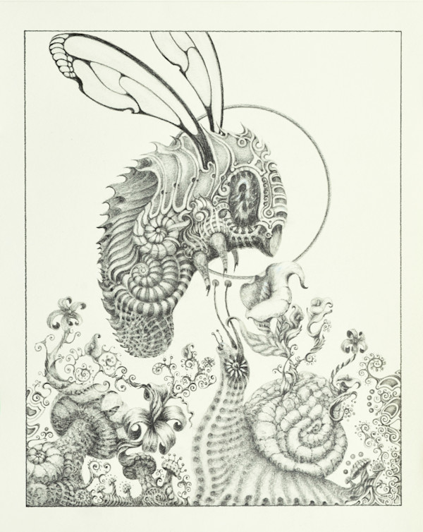 Holt the Battle Bee by Doug Sandelin