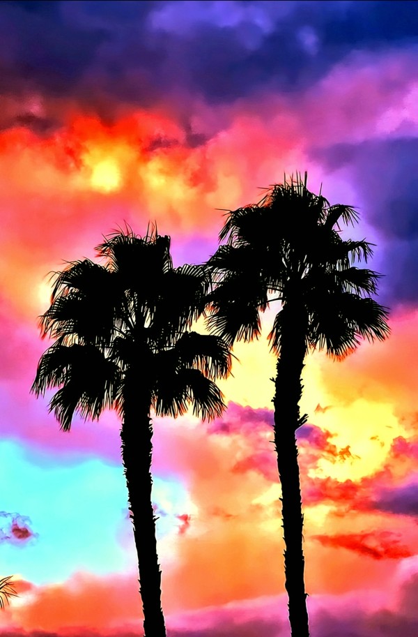 Twin Palms by Edwin Liew-Ferguson