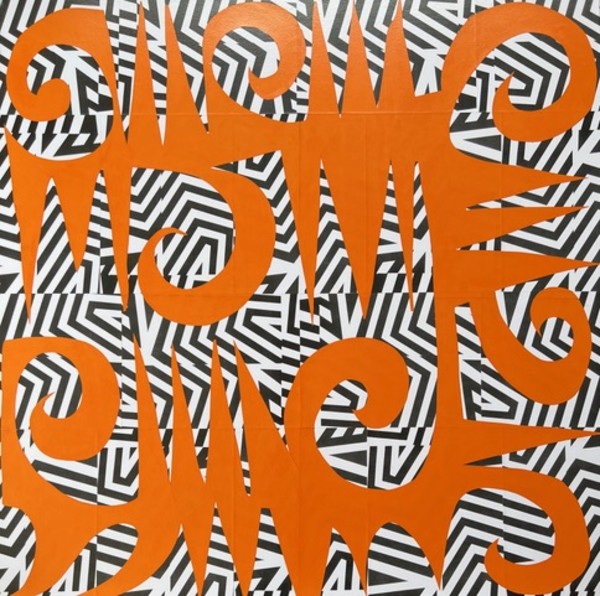 A Zebra Wears Orange by Samuel Fleming-Lewis