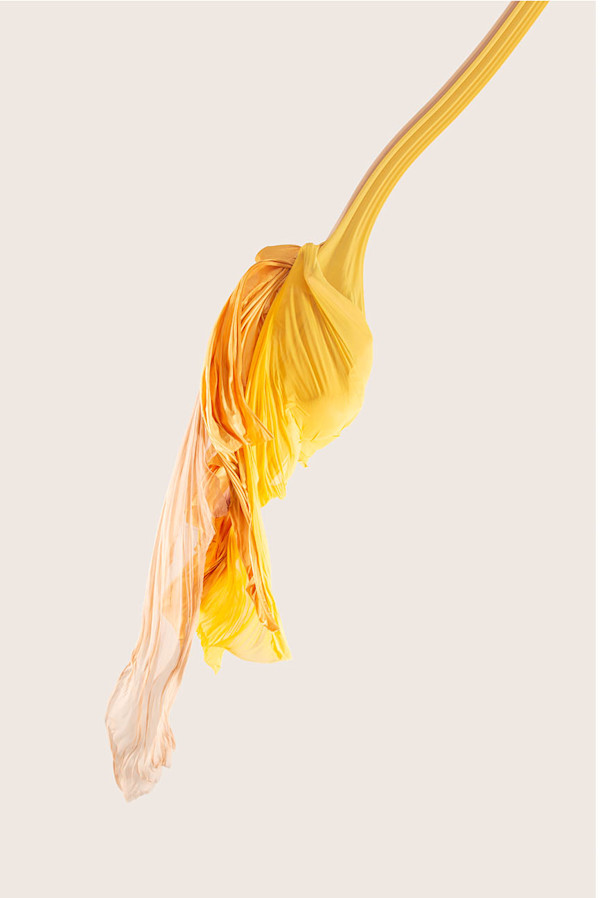 Twisted Ecstasy by Max Damian