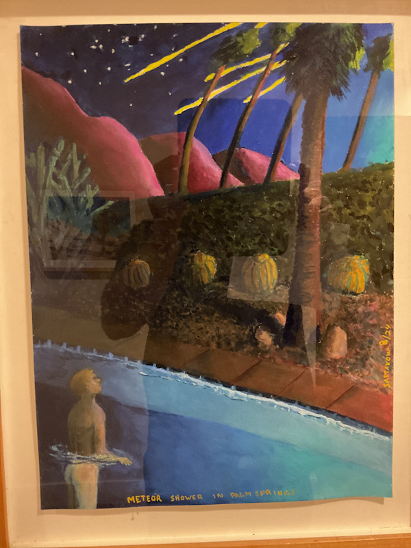 Meteor Shower in Palm Springs by Daniel Samakow