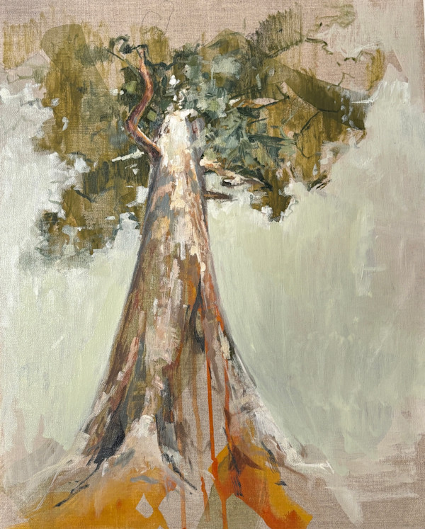 sequioa study 1 by Kristin  Cronic