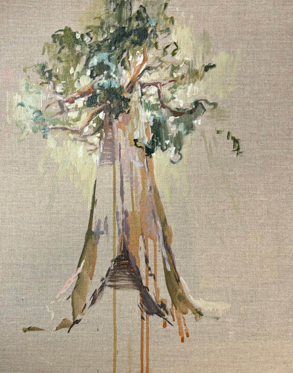 sequioa study 2 by Kristin  Cronic