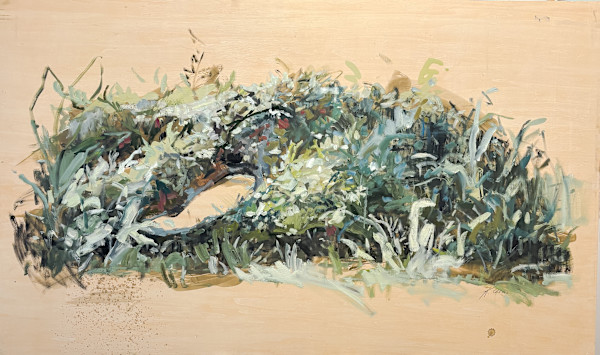 i left but she remained [the tree that grew sideways] by Kristin  Cronic