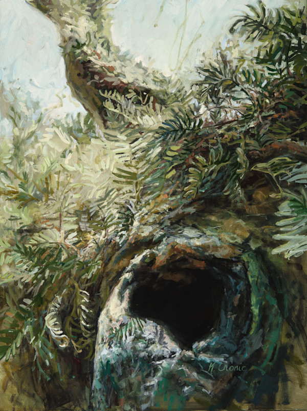 a garden of sorts by Kristin  Cronic