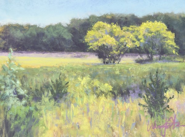 Sunlit Trees at Tamarack by Wendy Peterson