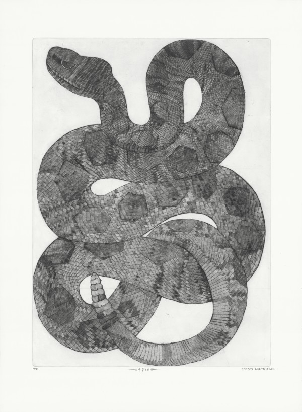 q?is Proof 7 by Camas Logue