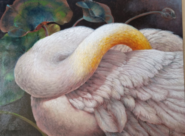 Swan II by Lilo Almog