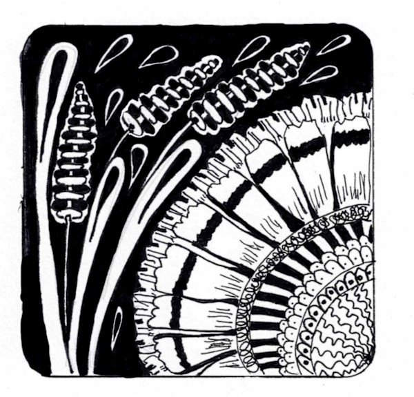 Coaster 6 by Lisa Purrington