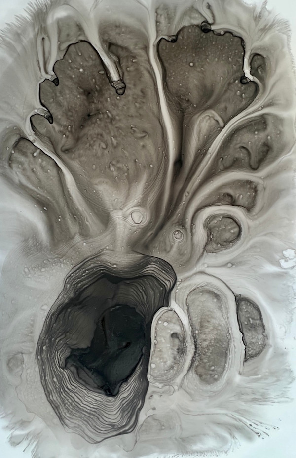 Forsooth I by Cynthia Sumner