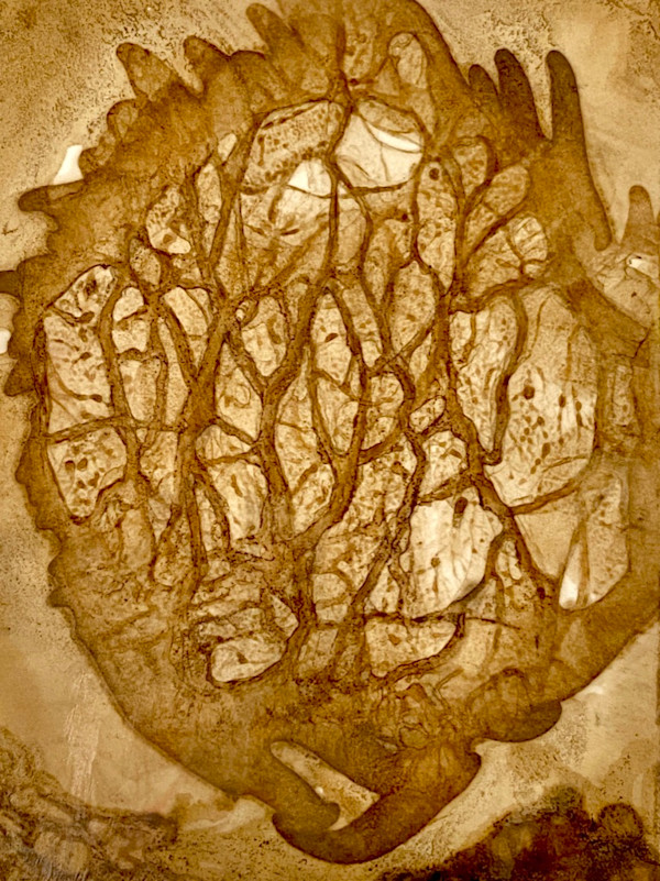 Diffuse Nature by Cynthia Sumner