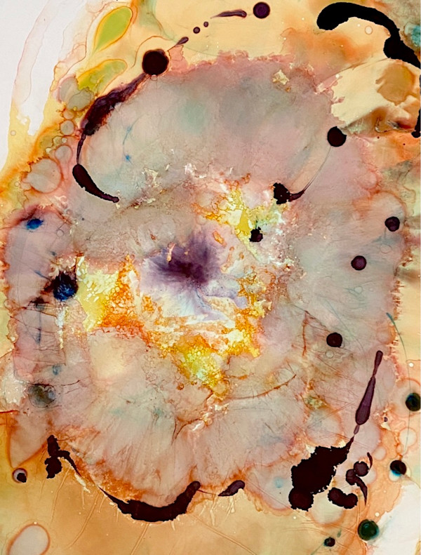 Inflorescence by Cynthia Sumner