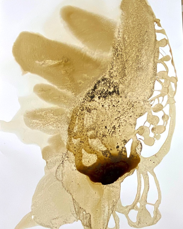 Untitled by Cynthia Sumner