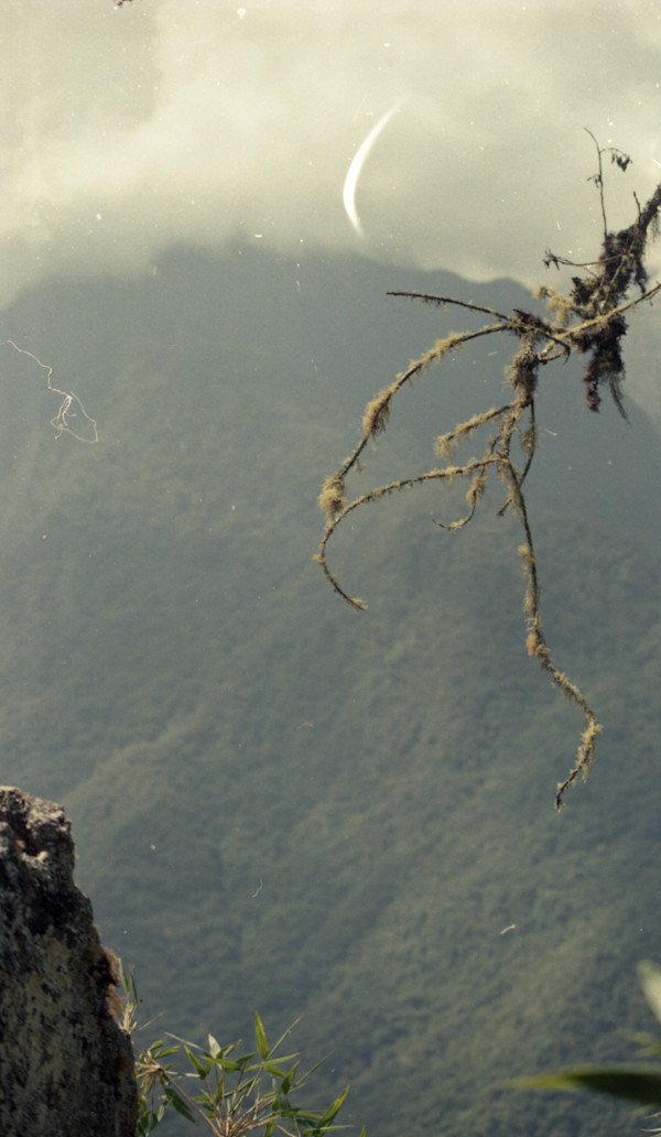 Macchu Picchu 12 by Lisa Zane