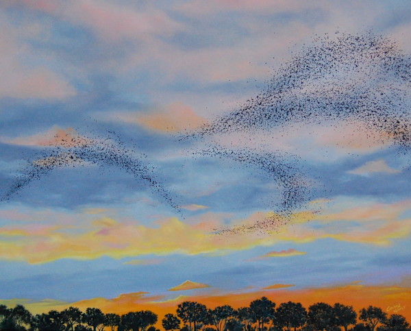 Coming and Going by Corinna Nicole, Image 1.