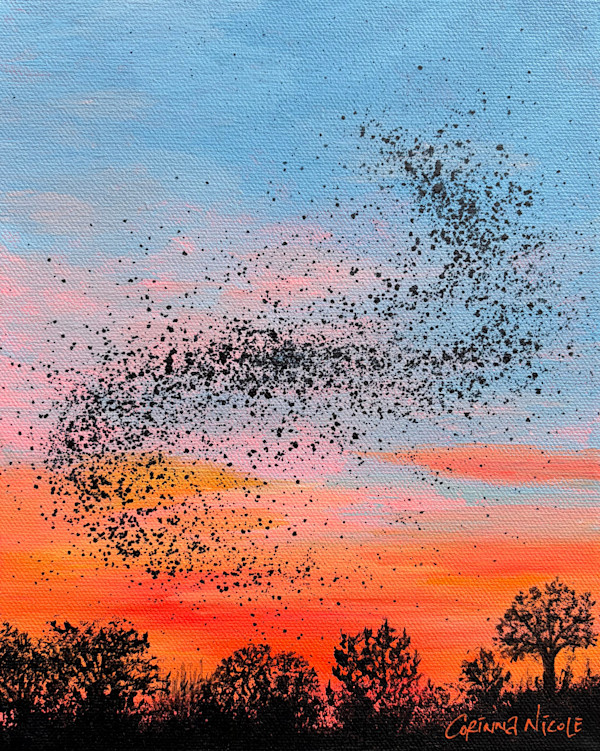 Magic Hour by Corinna Nicole, Image 1.