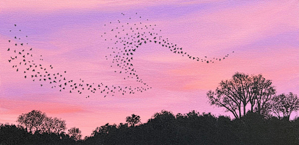 Ebb and Flow by Corinna Nicole, Image 2.
