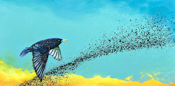 Starling in Flight by Corinna Nicole, Image 1.