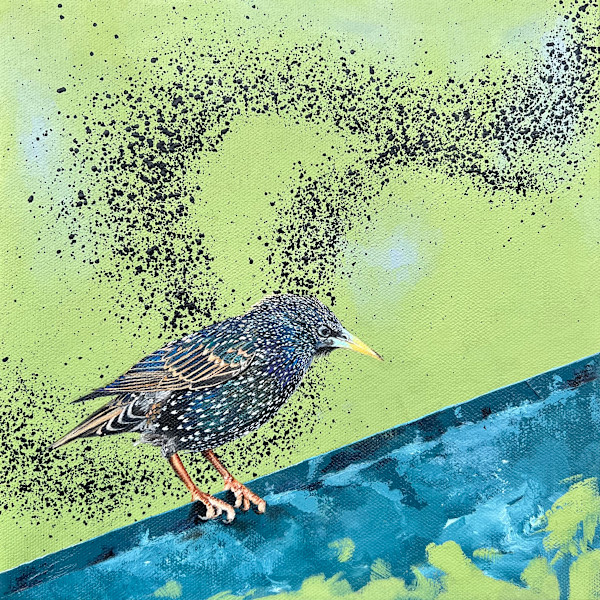 Perched Starling by Corinna Nicole, Image 1.