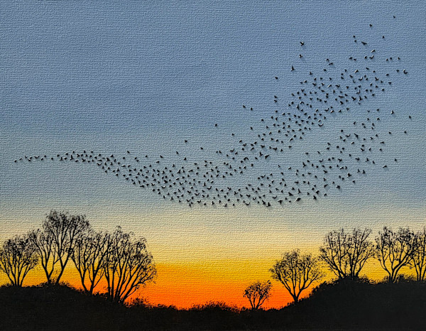 Unexpected Wonder by Corinna Nicole, Image 1.