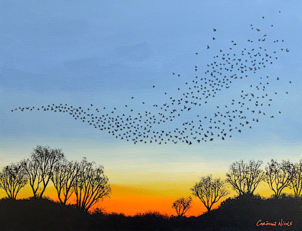 Unexpected Wonder by Corinna Nicole, Image 1.