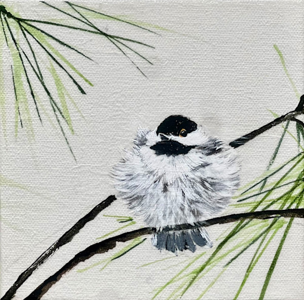 Chickadee Chick by Sharlene Cline