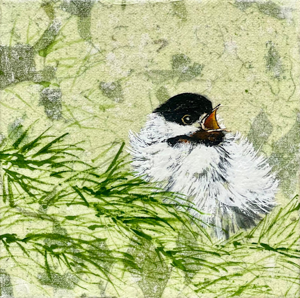 Chickadee Singing by Sharlene Cline