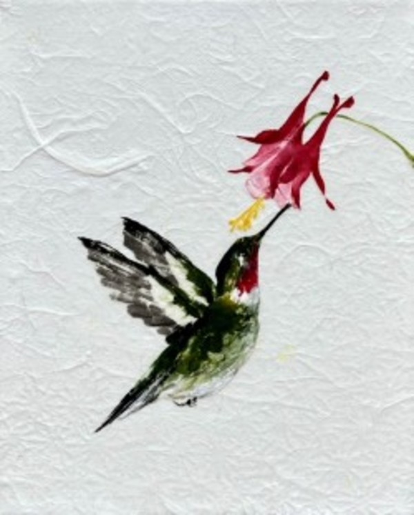 Ruby-throated Hummingbird & Columbine by Sharlene Cline