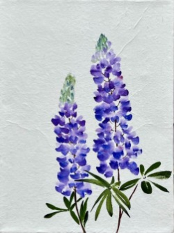 Lupine V by Sharlene Cline