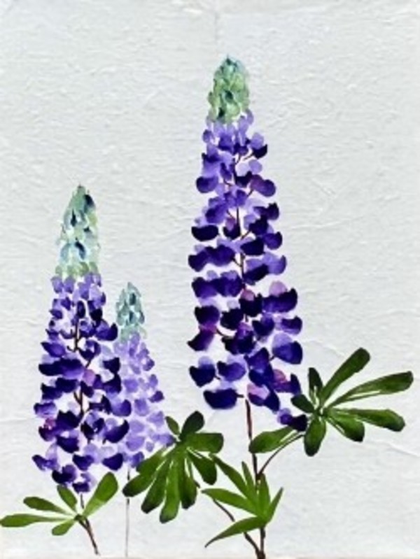 Lupine IV by Sharlene Cline
