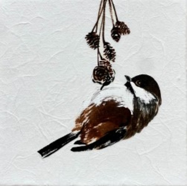 Boreal Chickadee & Alder Cones by Sharlene Cline