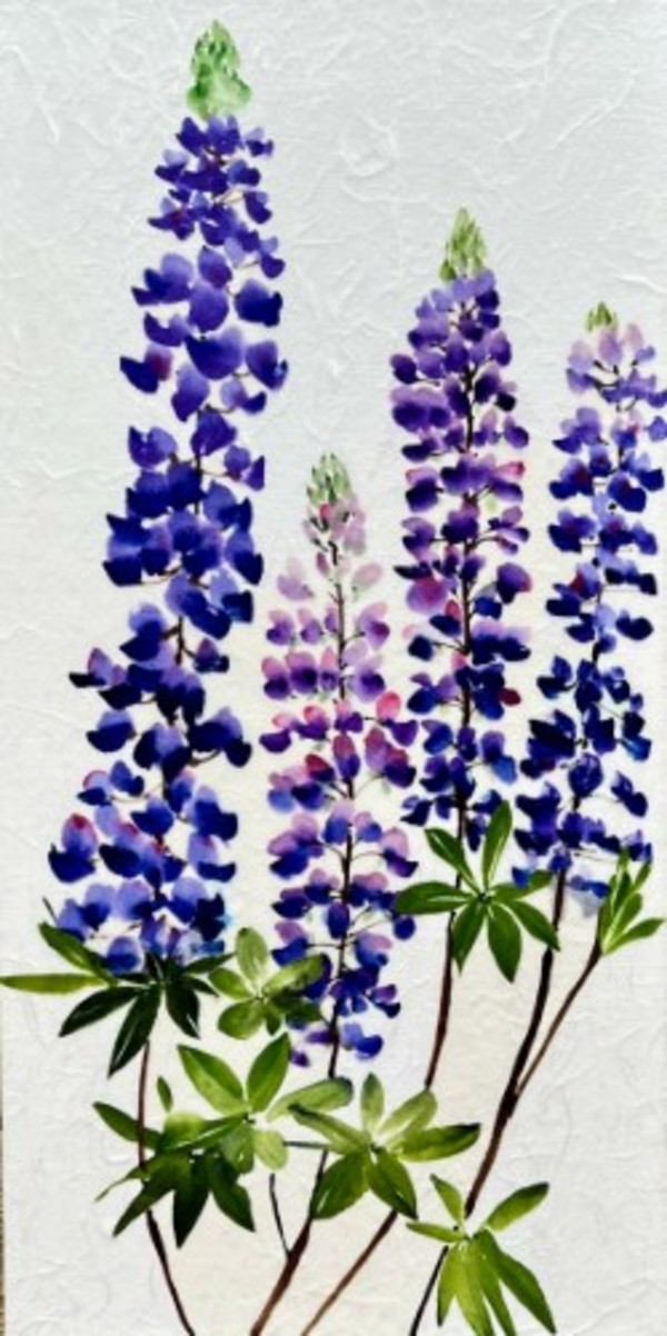 Lupine III by Sharlene Cline