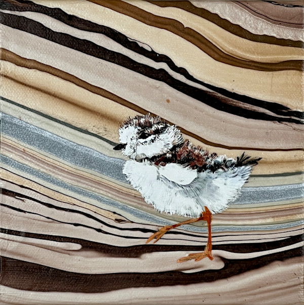 Sandpiper XII by Sharlene Cline