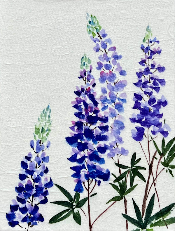 Lupine II by Sharlene Cline