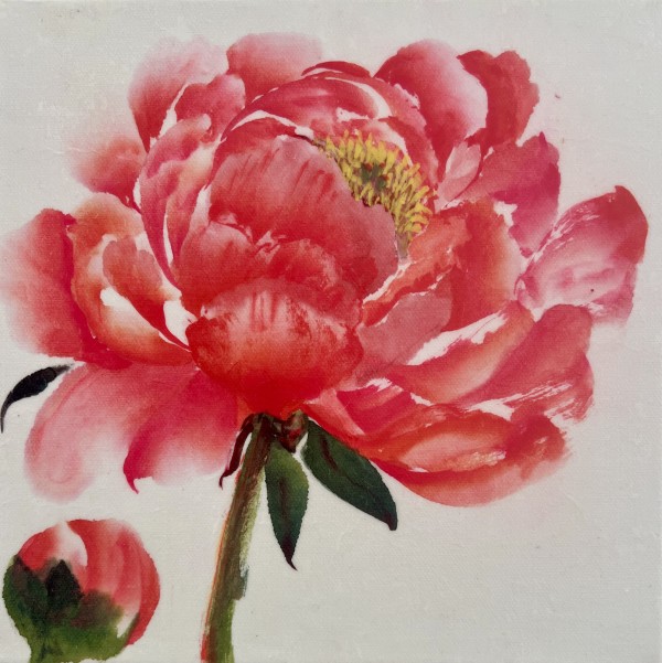 Peony V by Sharlene Cline