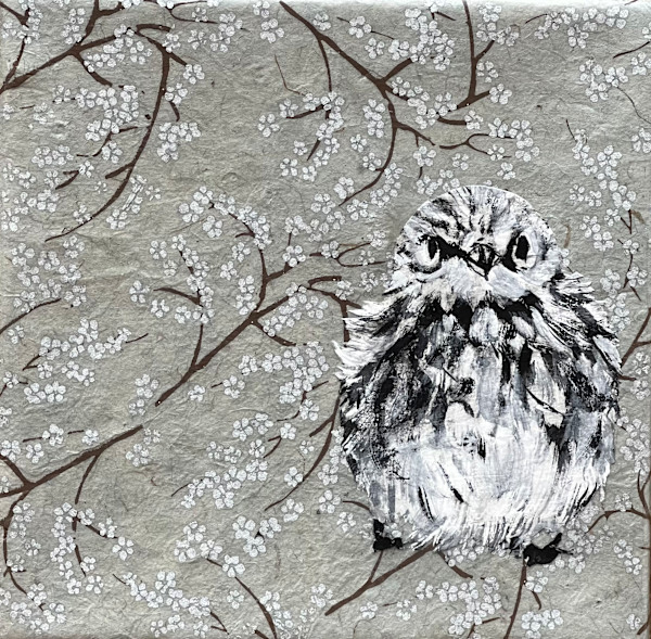 Pine Siskin by Sharlene Cline