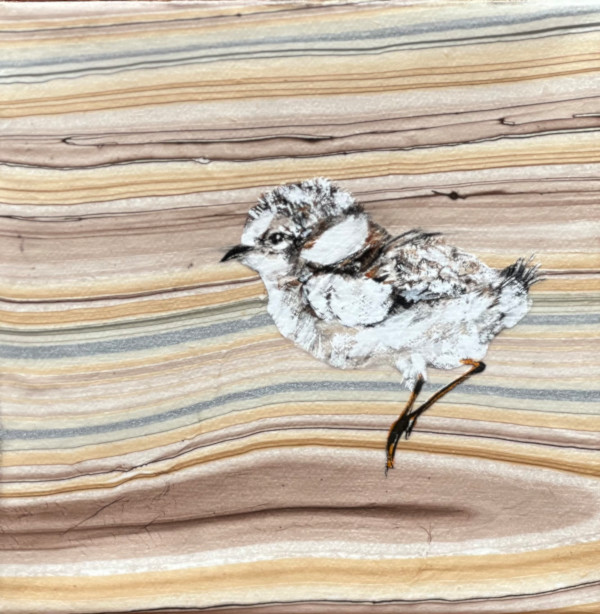 Sandpiper XIV by Sharlene Cline