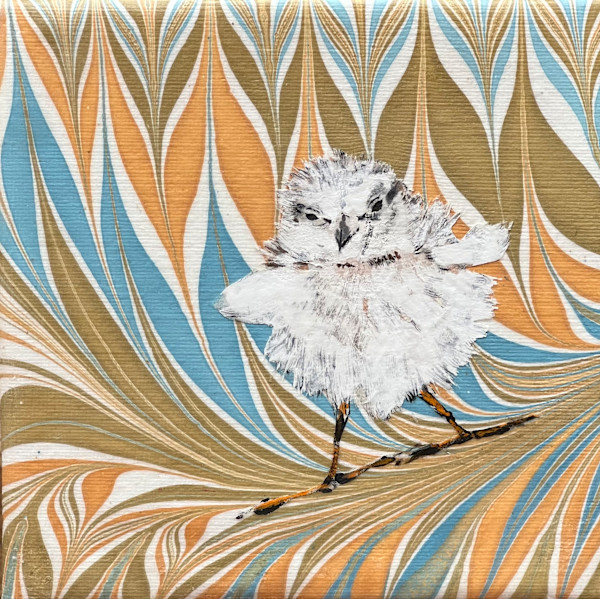 Surf Bird by Sharlene Cline