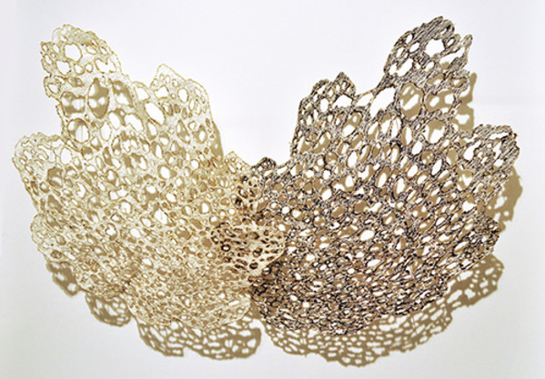 Dendritic Lace Formation by Liz Aston