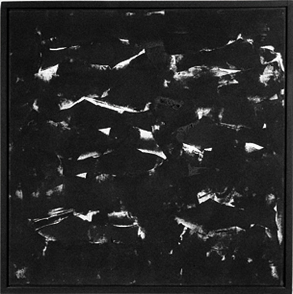 Seven Fish by Gerald Ferguson