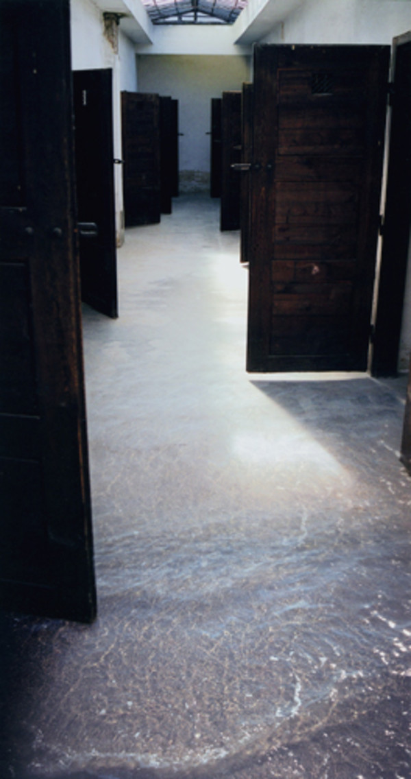 Doors by Barbara Steinman