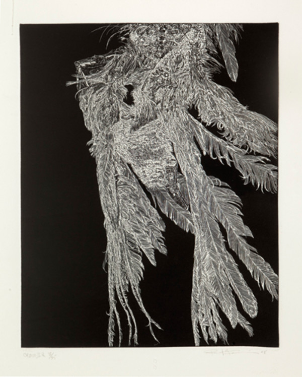 Crow IIR by Paul Fournier, Image 1.